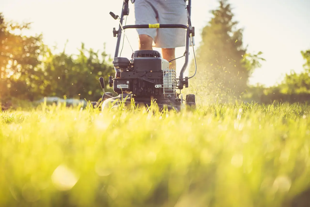 Un jardinero cortando un césped residencial verde en una tarde soleada